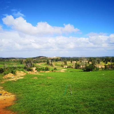 Kebun 2