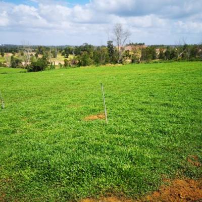 Farm View 